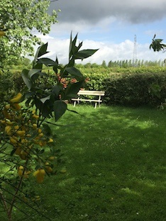 IMG2752 2